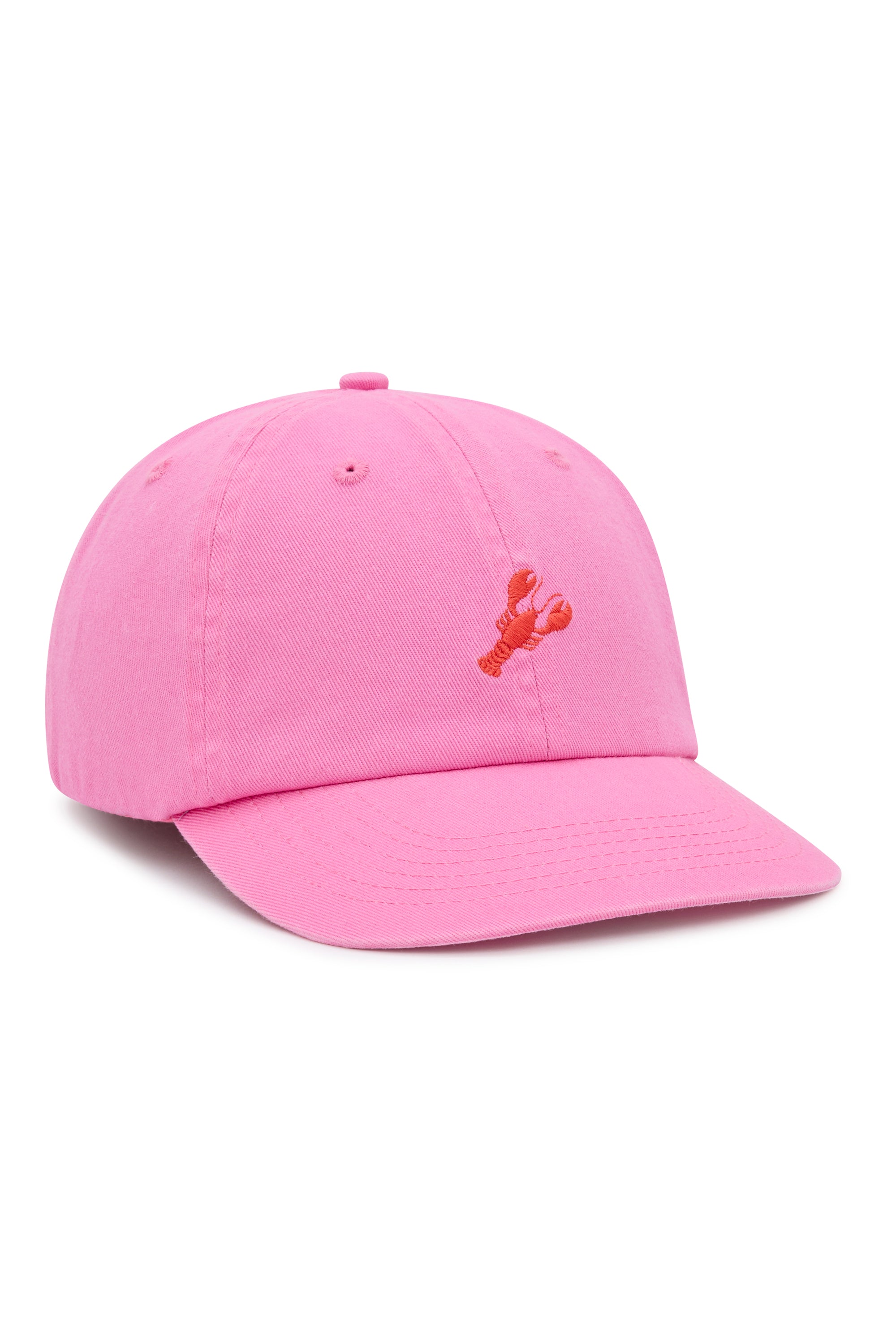 Dad Cap in Lobster