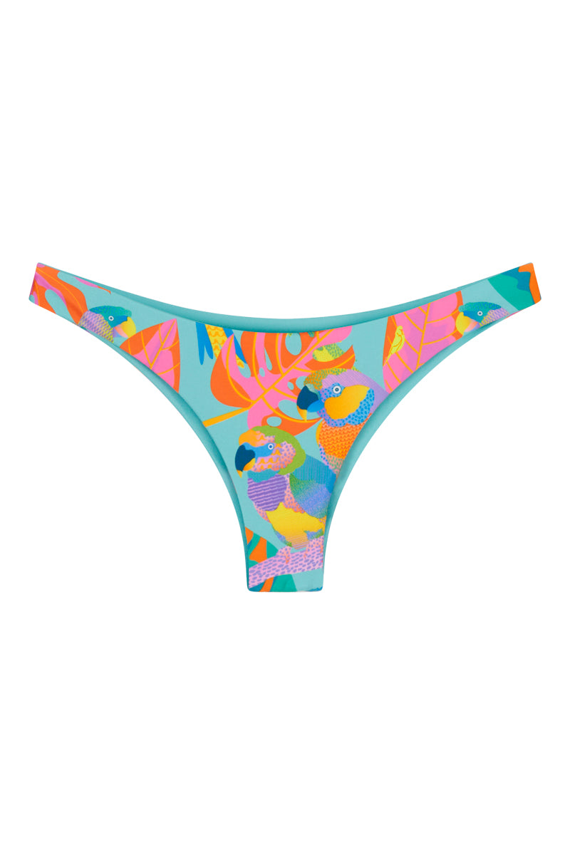 Budgy Smuggler Australia