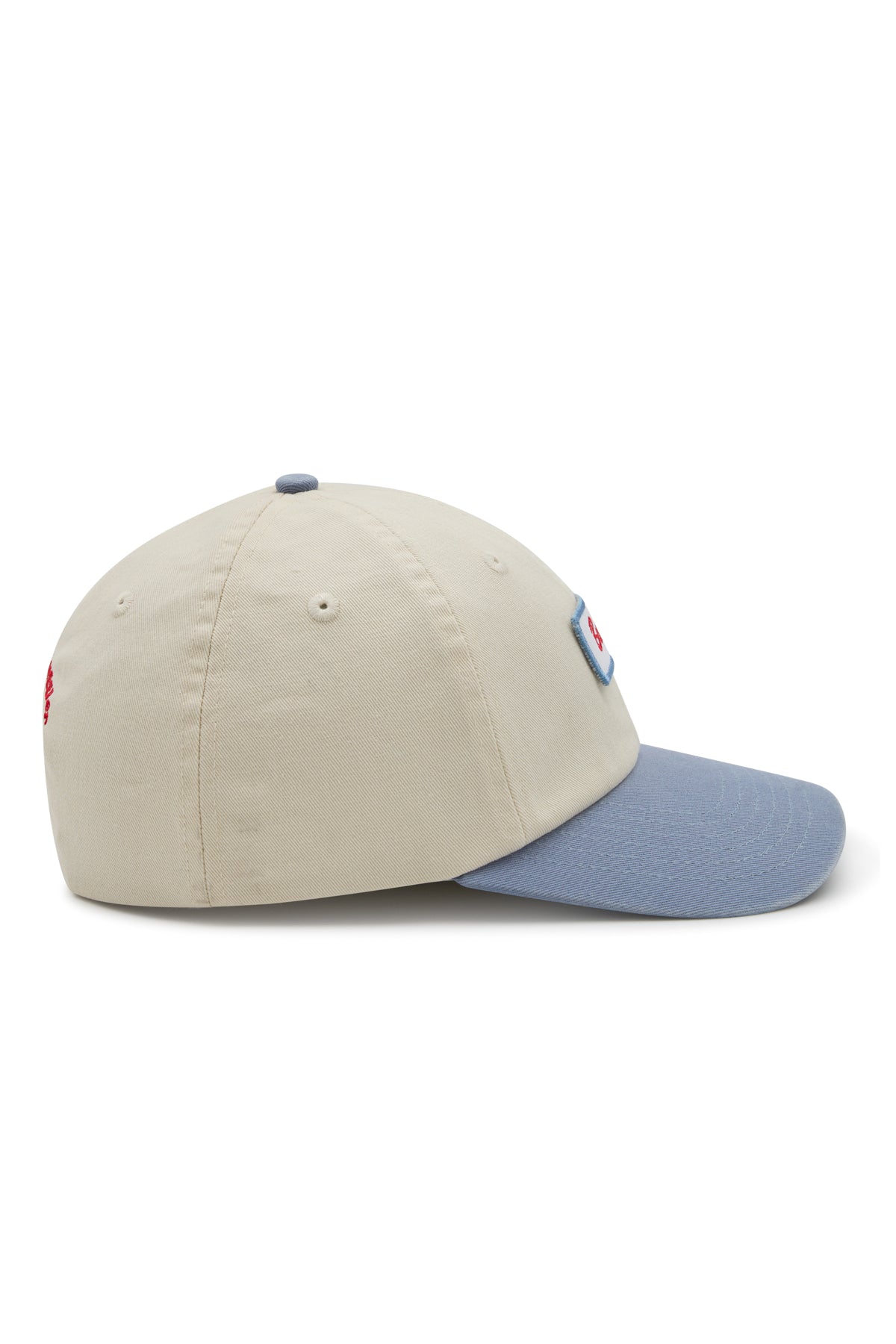 6 Panel Snap Back in Light Blue Budgy Patch
