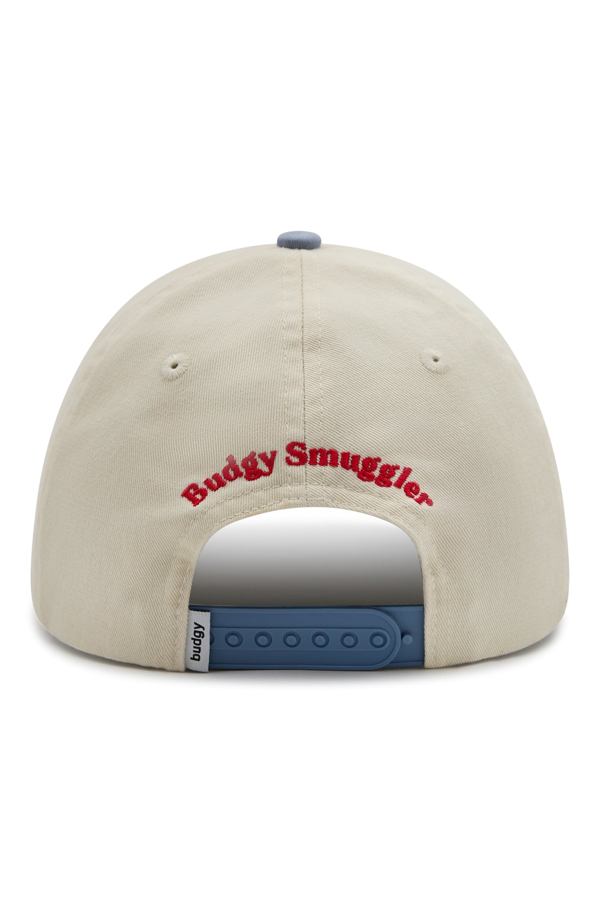 6 Panel Snap Back in Light Blue Budgy Patch