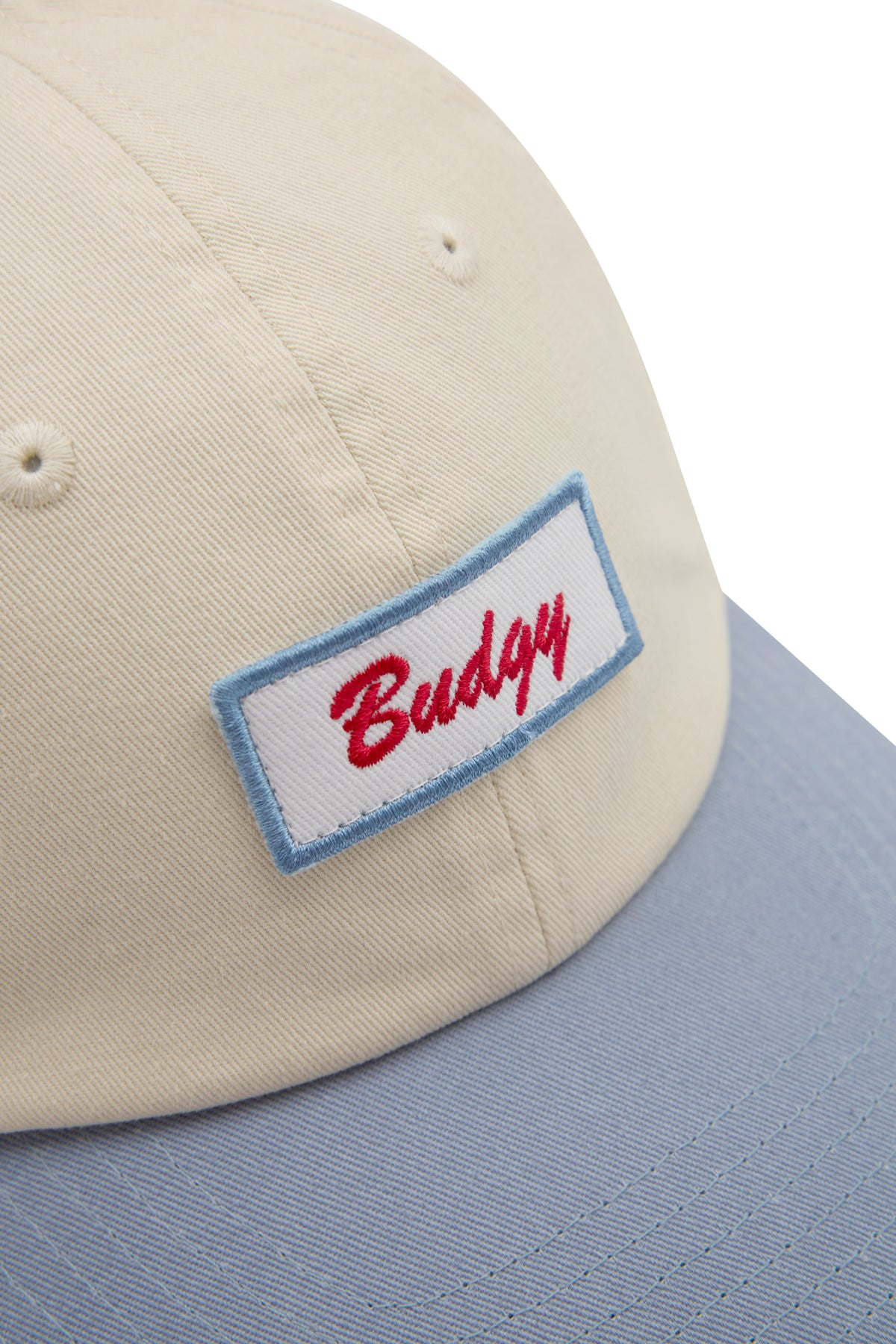 6 Panel Snap Back in Light Blue Budgy Patch