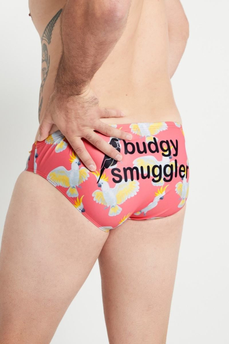 Budgy Smuggler Australia