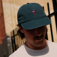 Dad Cap in Flamingos