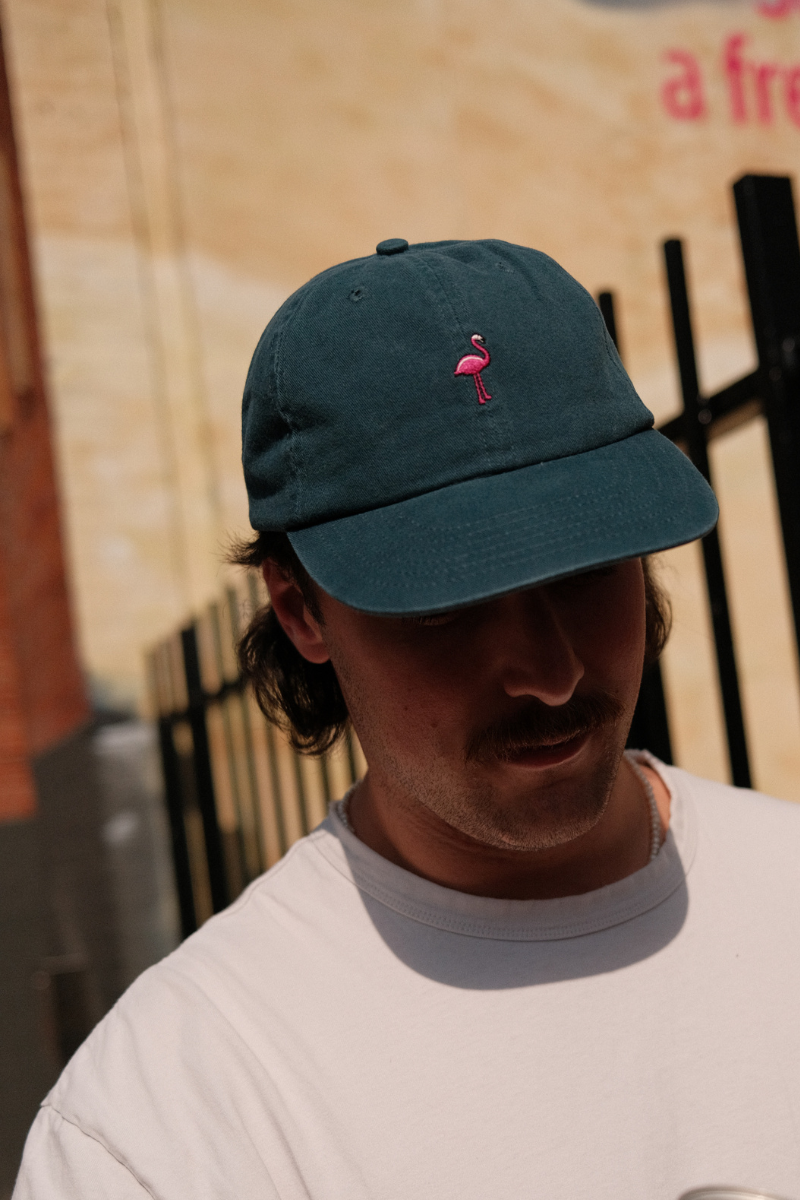 Dad Cap in Flamingos