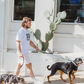 Pet Leash in Flamingos