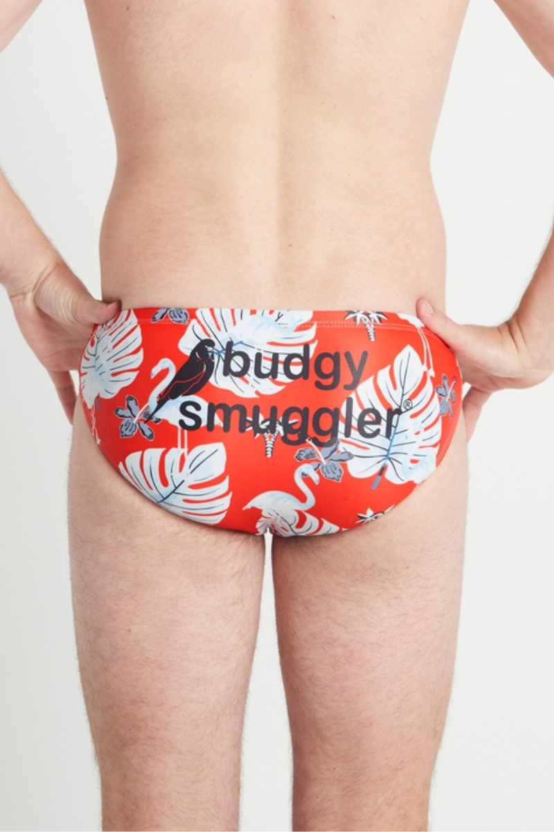 Budgy Smuggler Australia