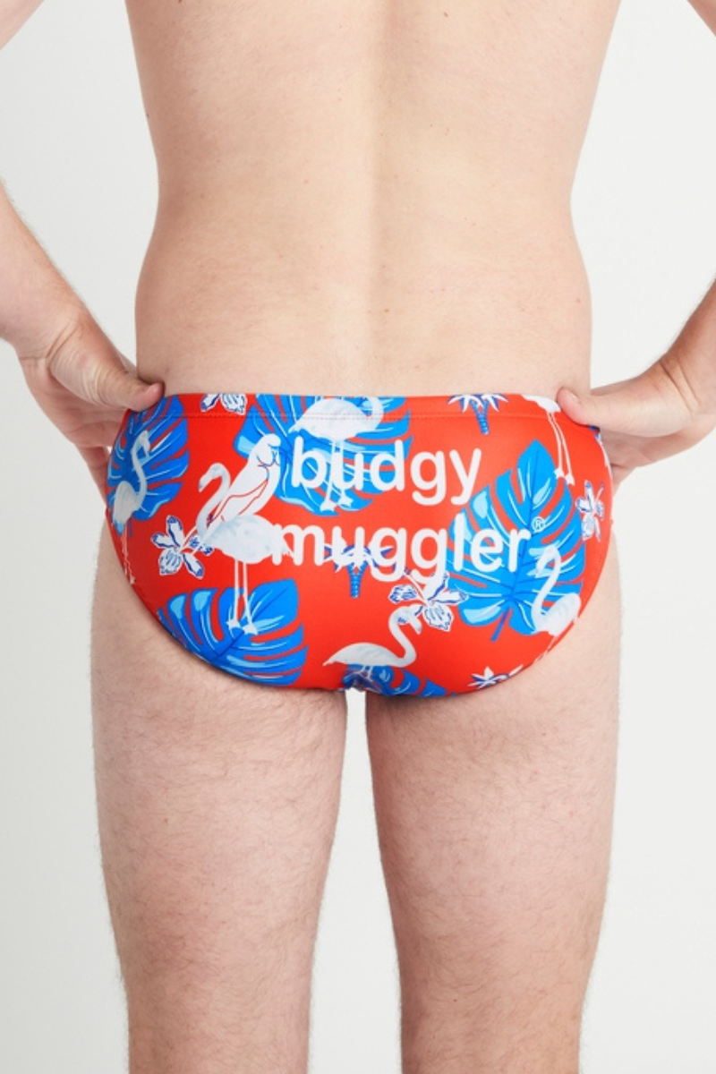 Budgy Smuggler Australia