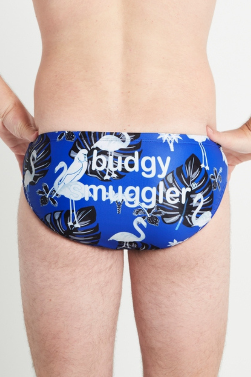 Canterbury Bankstown Bulldogs Flamingos Edition