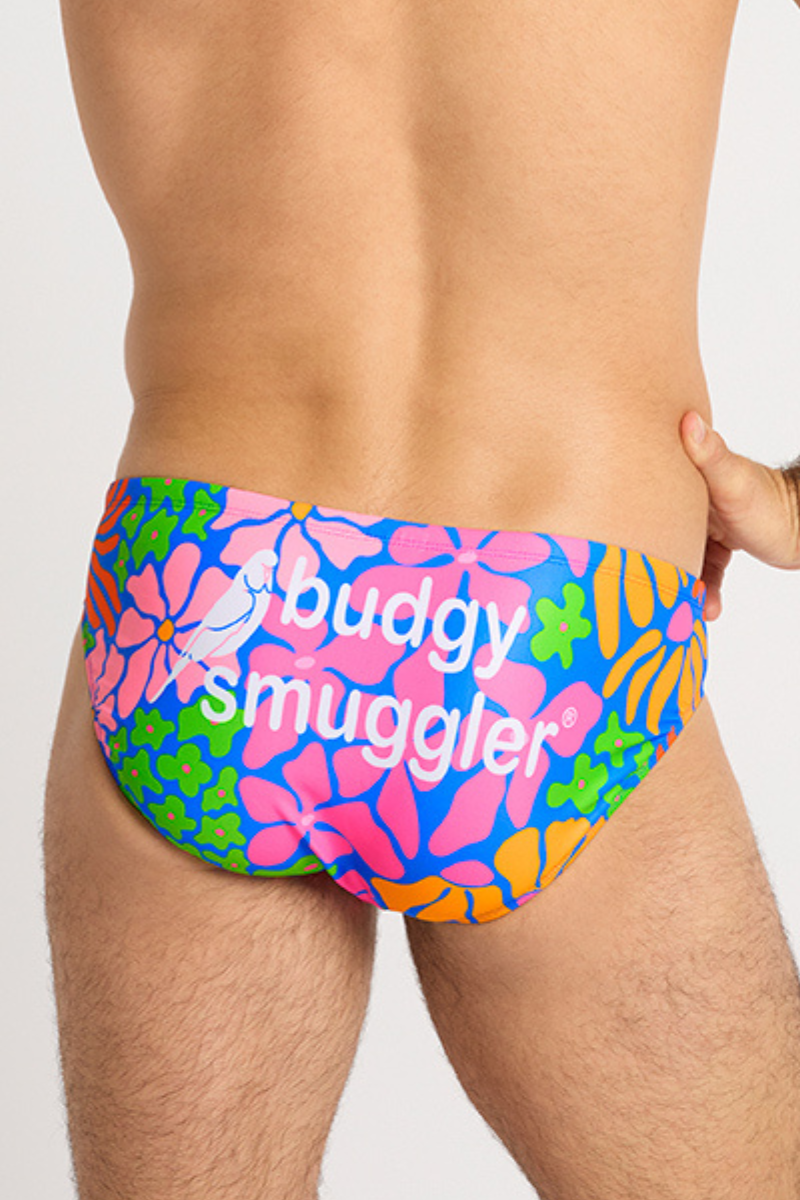 Budgy Smuggler Australia