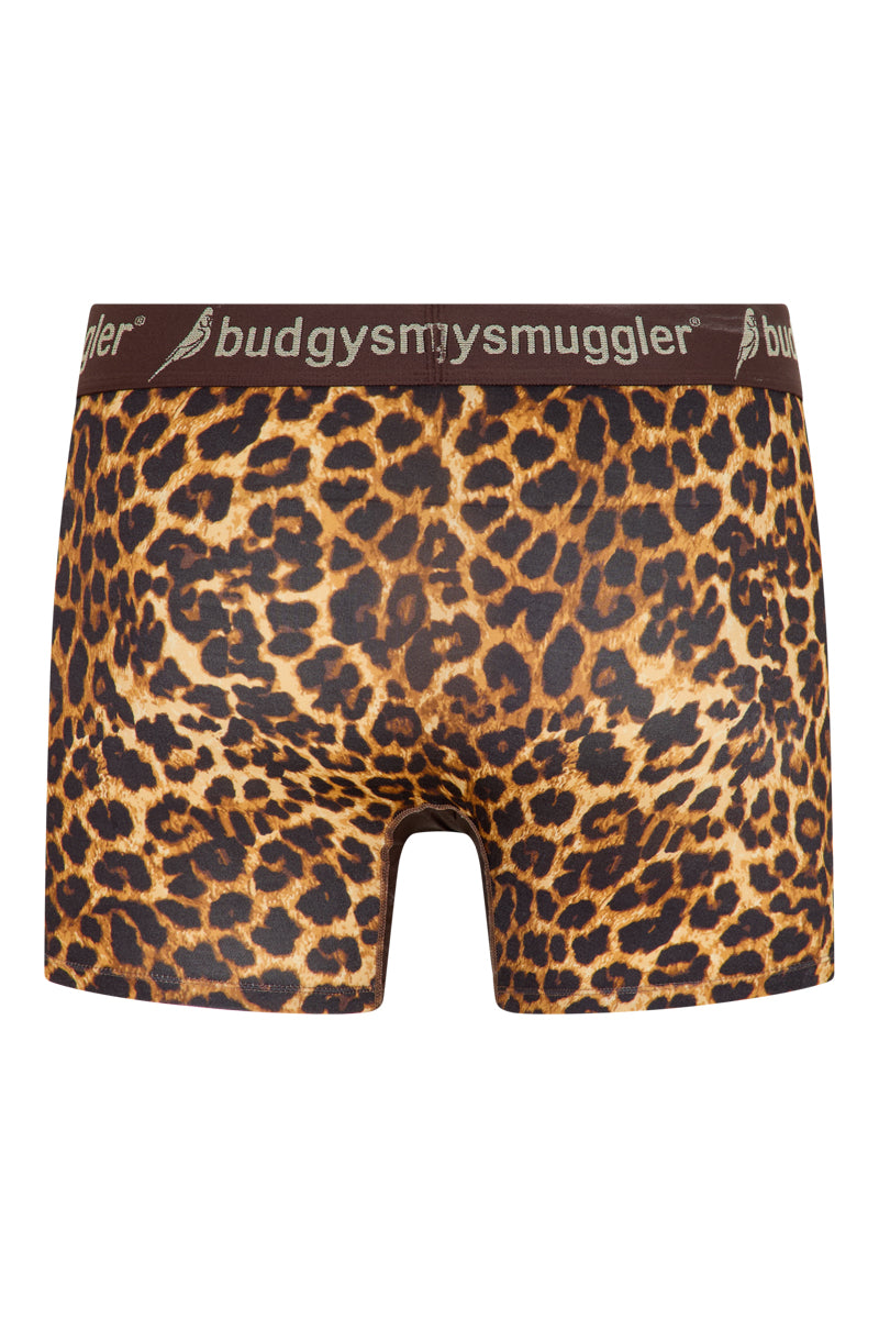 Men's Underwear Trunks in New Money
