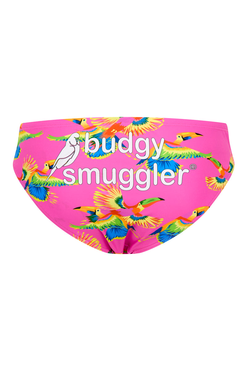 Budgy Smuggler Australia