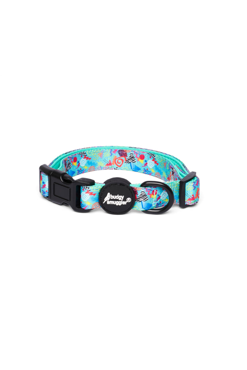 Pet Collar in Mr Motivator