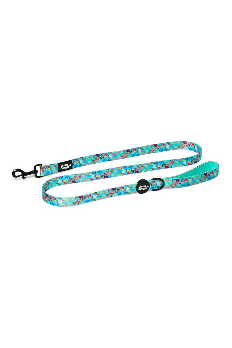 Pet Leash in Mr Motivator