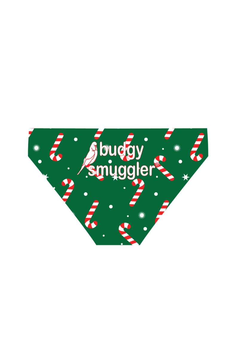 Boys Budgy Christmas 2025