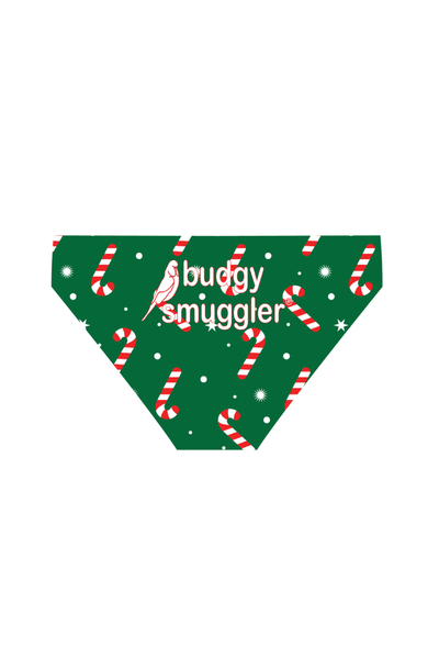 Boys Budgy Christmas 2025