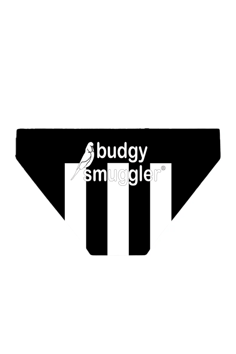 Budgy Smuggler Australia