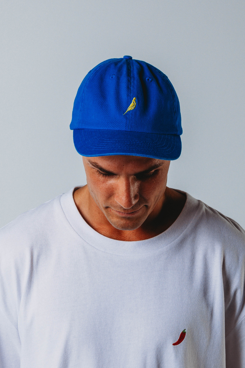 Dad Cap in Budgy Blue