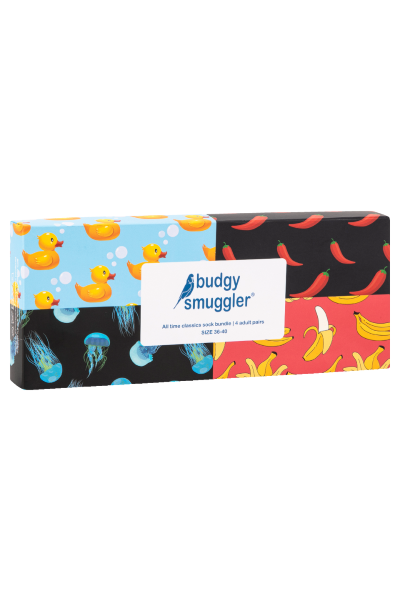 Budgy Socks 4 Pack