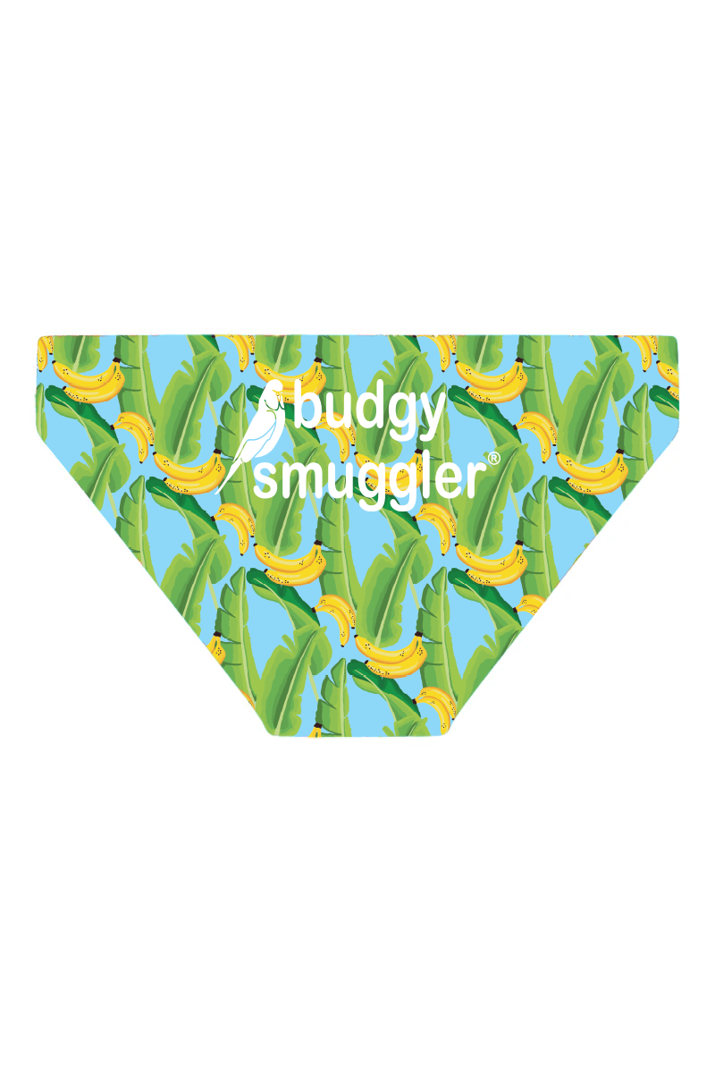 Budgy Smuggler Australia