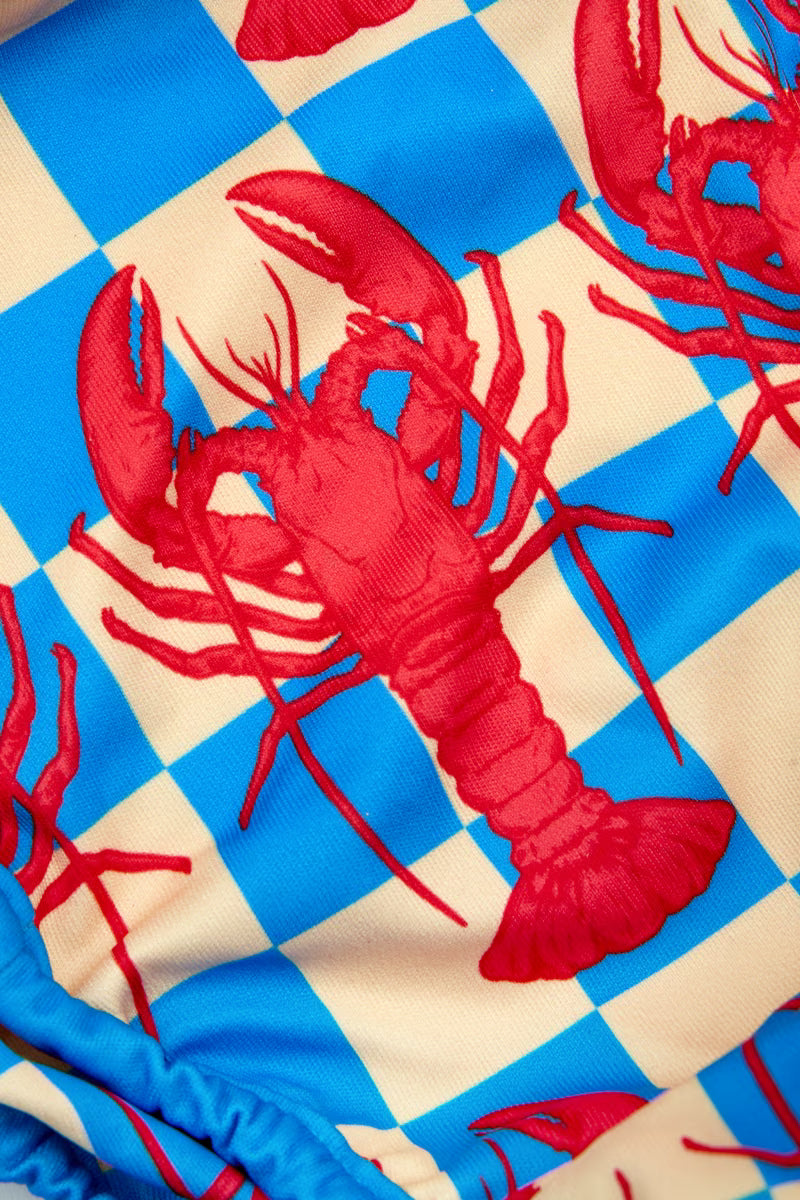 Close up of the red lobster checkerboard print on the swim nappy