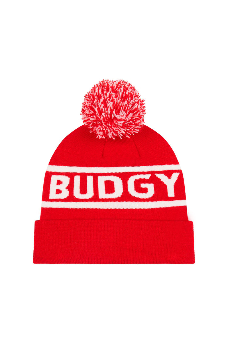 Budgy Beanies with Pom Pom