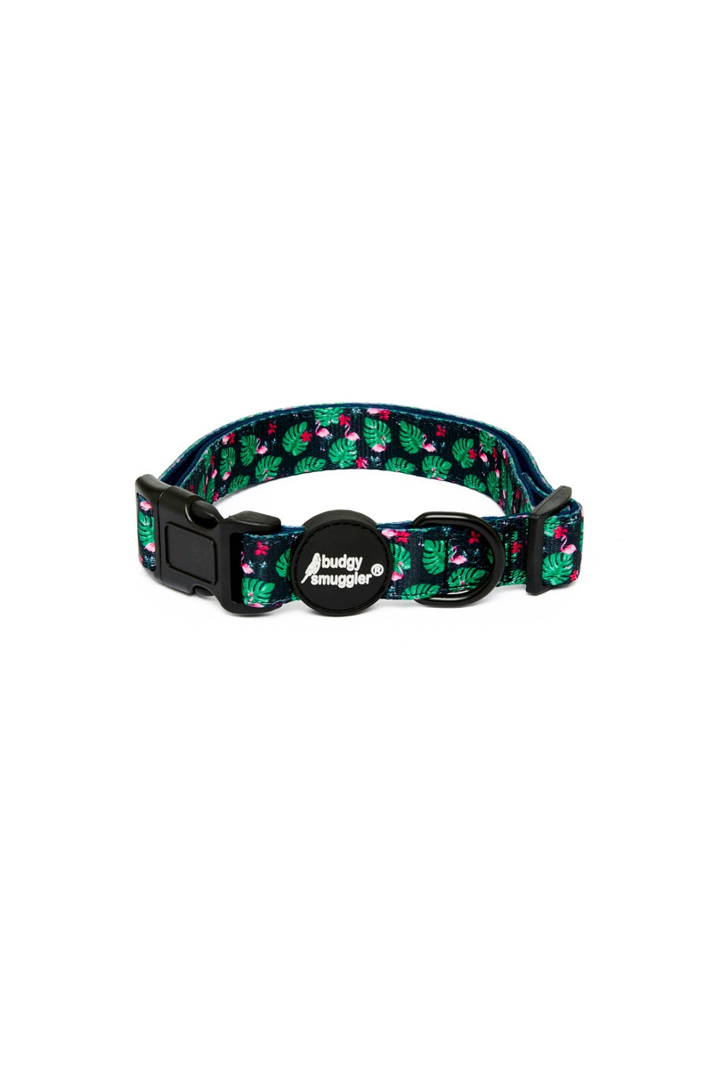 Pet Collar in Flamingos