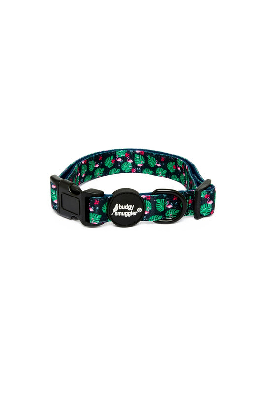 Pet Collar in Flamingos