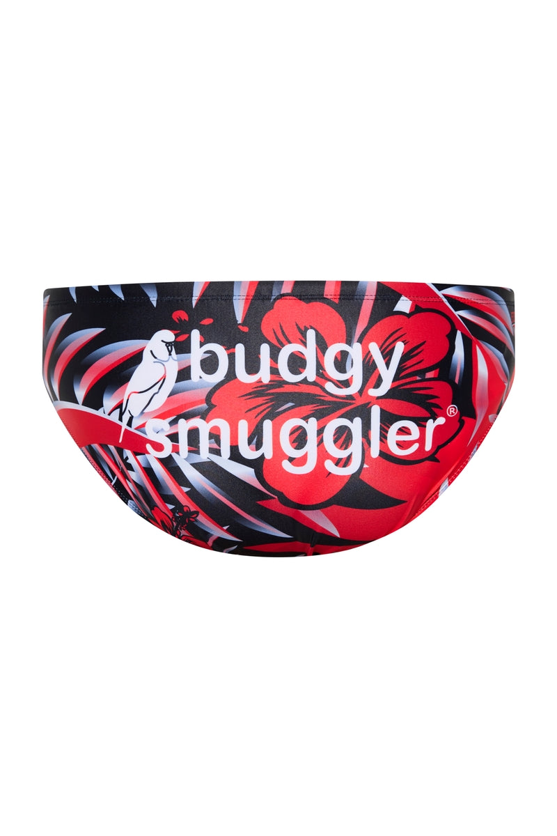 Budgy Smuggler Australia