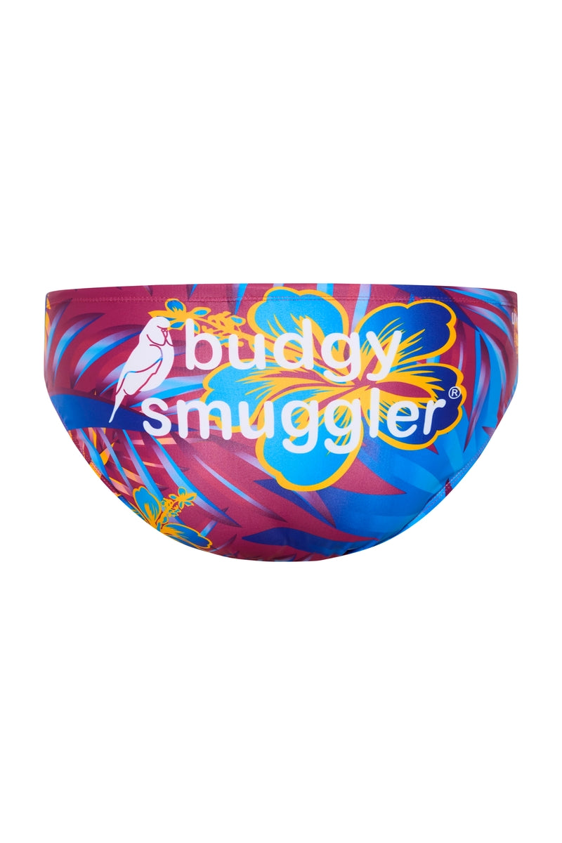 Budgy Smuggler Australia