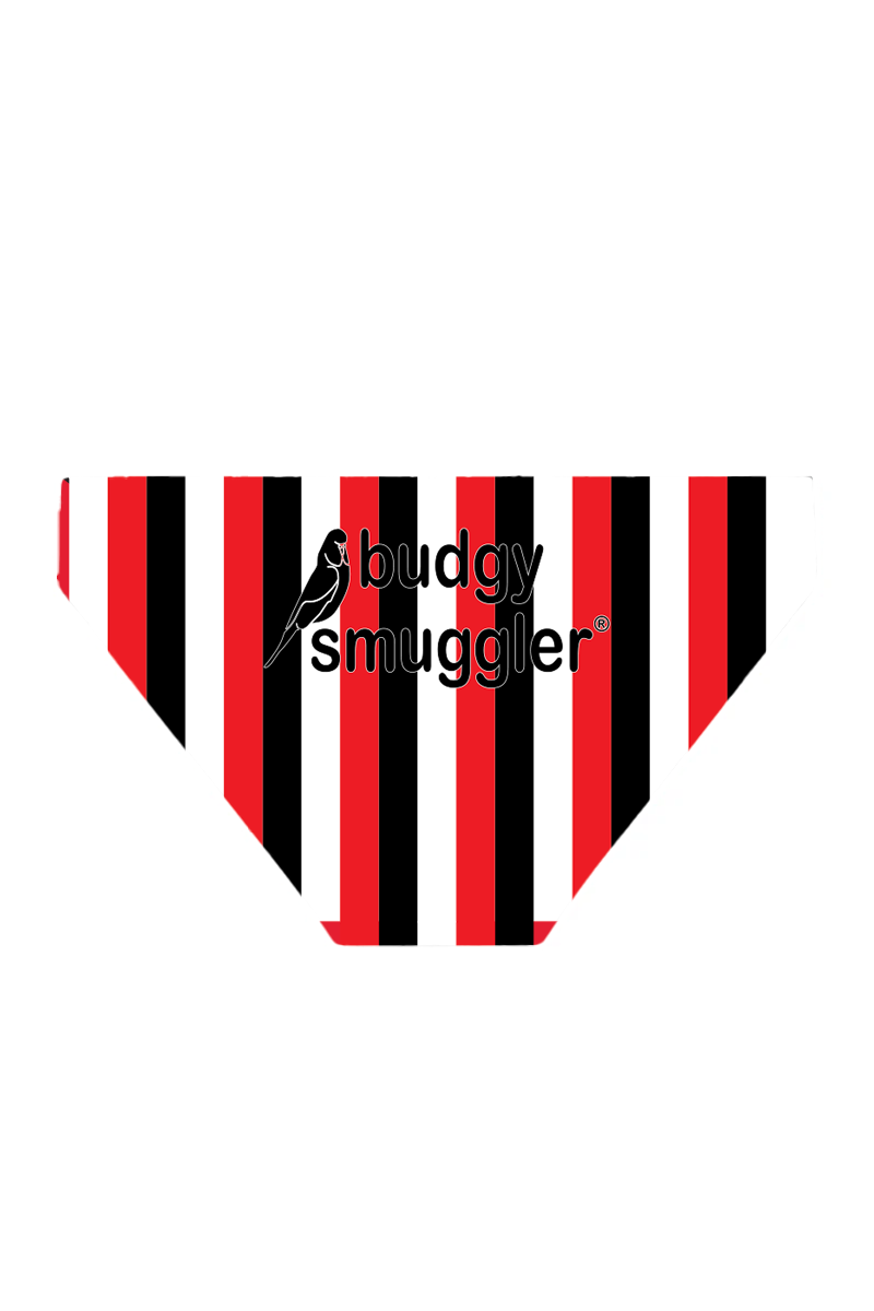 Budgy Smuggler Australia