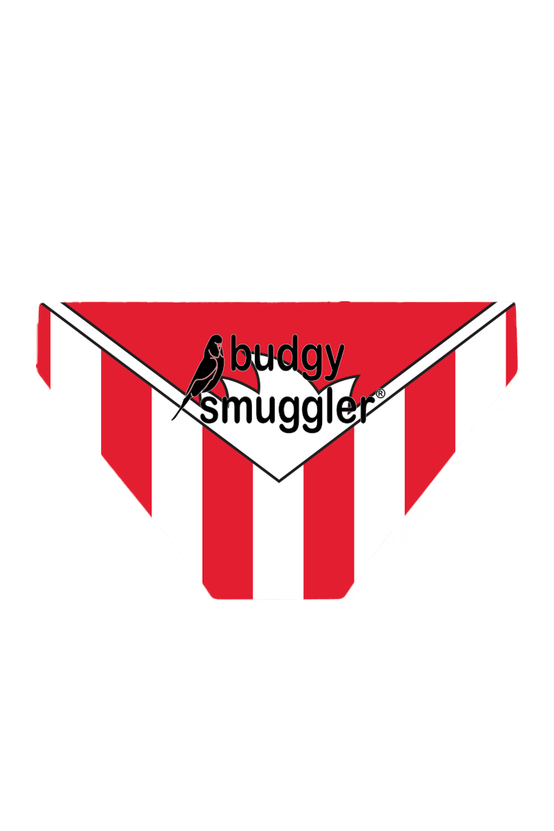 Budgy Smuggler Australia