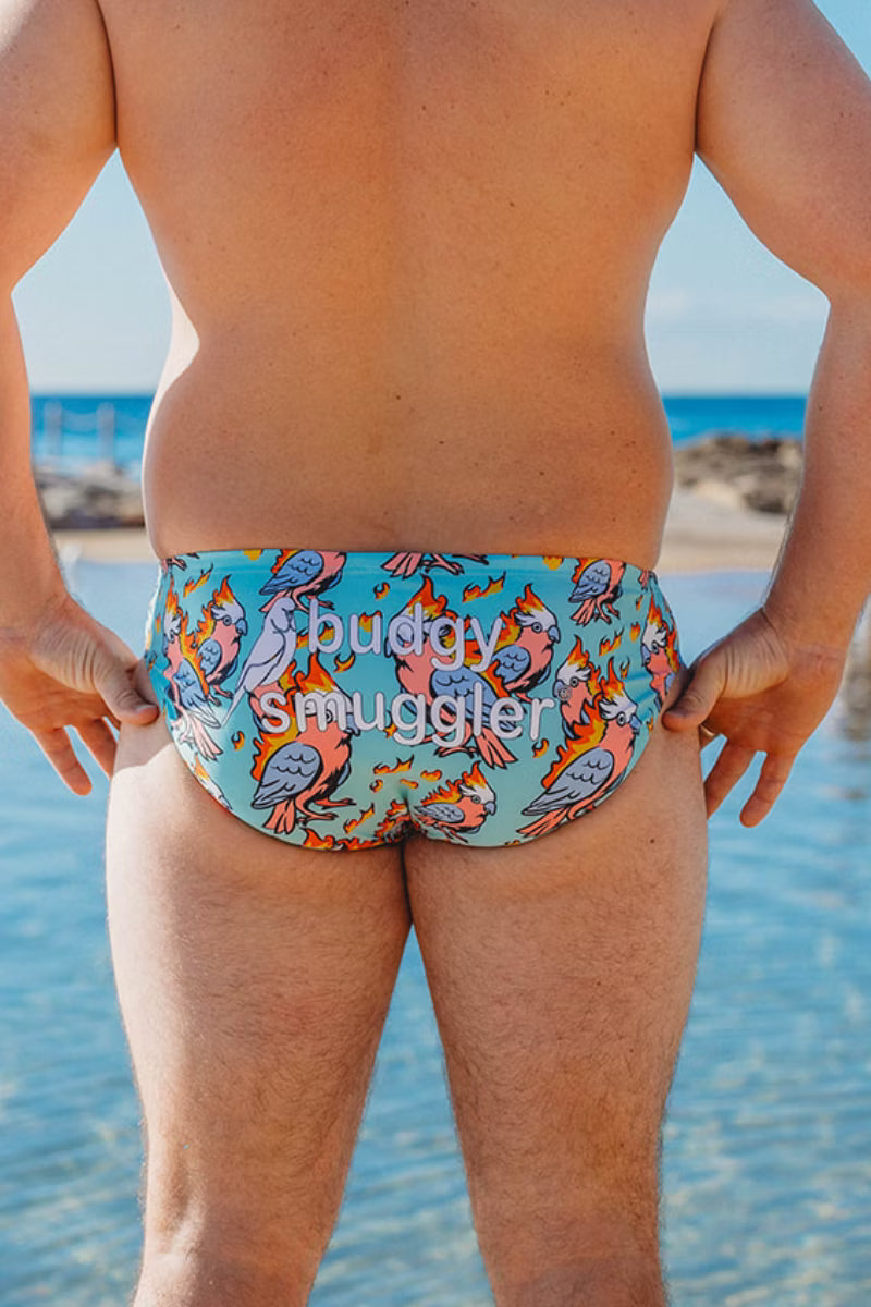 A man viewed from behind wearing colorful swim briefs with a blue background and a bird pattern. The brand name 'buddy smuggler' is printed across the back of the briefs, with a beach and ocean in the background.