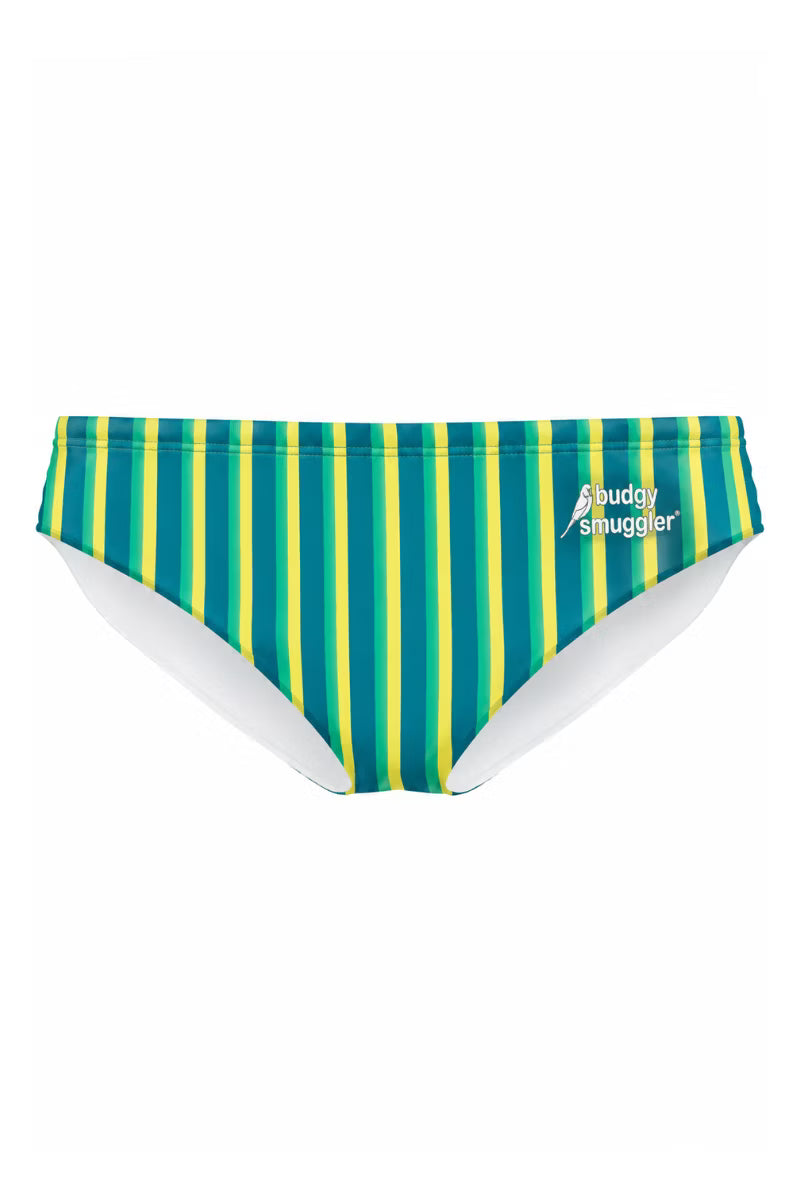 A pair of women's bikini bottoms featuring vertical stripes in green, teal, and yellow, with a white inner lining and a white 'buddy swimmer' logo on the right hip, shown against a plain white background.