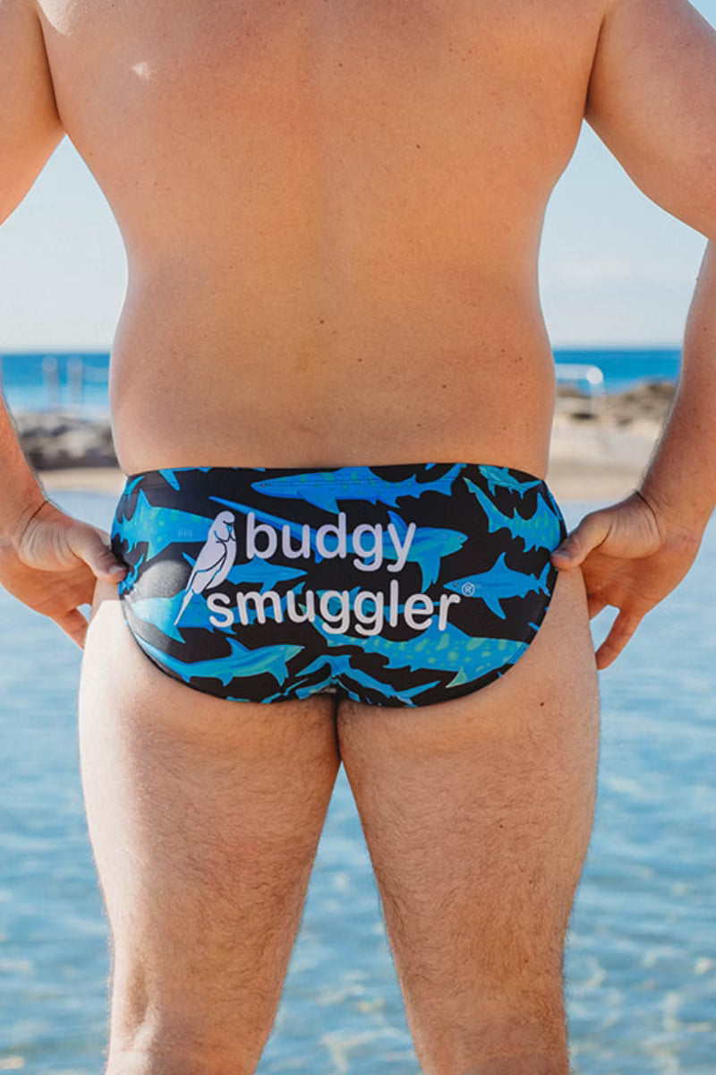 Rear view of a man standing on a beach wearing swim briefs with a blue and black shark pattern and the text 'buddy smuggler' printed across the back.