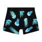 Premium Underwear (2.0) in Box Jelly Fish