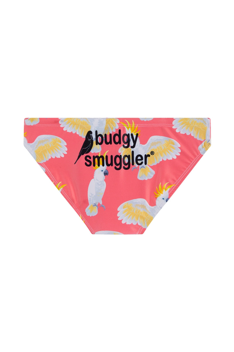 Budgy Smuggler Australia